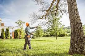 Best Lawn Irrigation Installation and Maintenance  in Fort Dick, CA